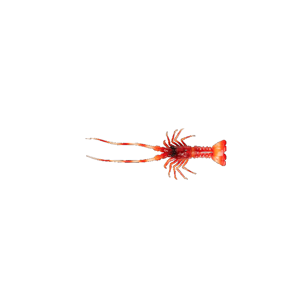 THE LOBSTER Fish Us 54Gr.