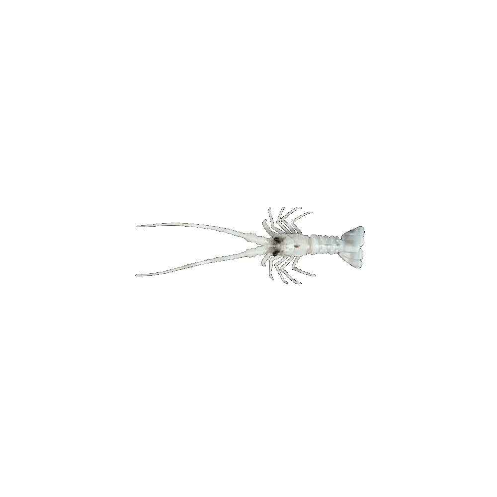 THE LOBSTER Fish Us 54Gr.