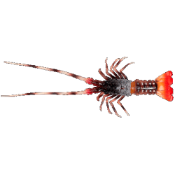 THE LOBSTER Fish Us 54Gr.