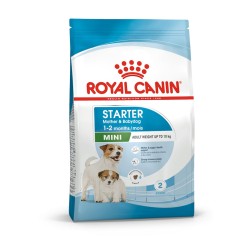 ROYAL CANIN MINI STARTER 1 KG