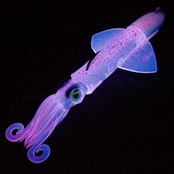 XIPI EVO 170MM 190GR JLC