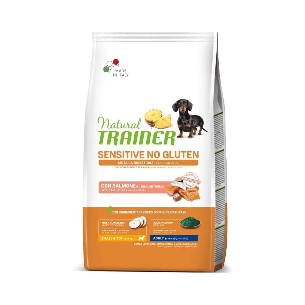 NATURAL TRAINER SENSITIVE NO GLUTEN ADULT SMALL SALMONE 2KG