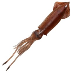 SWIN SQUID Savage Gear 63Gr.