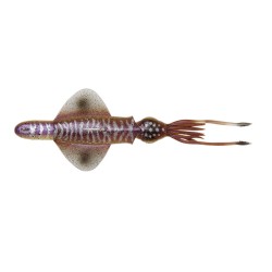 PVC SWIM SQUID Savage Gear 200Gr.