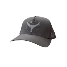 ECHO TAILS UP PERFORMANCE...