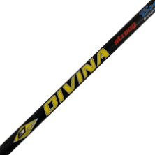 DIVINA STRONG BOAT...