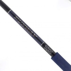 RUNWAY 10H XESTA JIG MAX 120 PLAG MAX 80