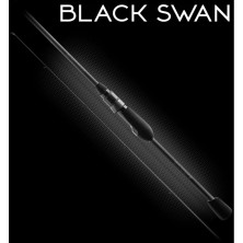BLACK SWAN 9'8" FAVORITE...