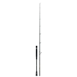 STRIKE 300-SPINNING 6'8" COLMIC 300GR