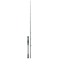 STRIKE 300-CASTING 6'8" COLMIC 300GR