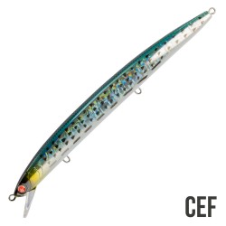 MOMMOTTI 160 S Seaspin 24gr.