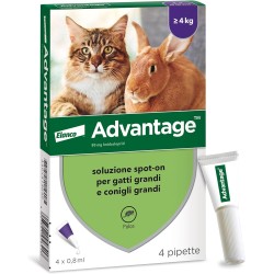 ADVANTAGE SPOT-ON TRATTAMENTO ANTIPULCI PER GATTI E CONIGLI SOPRA I 4KG