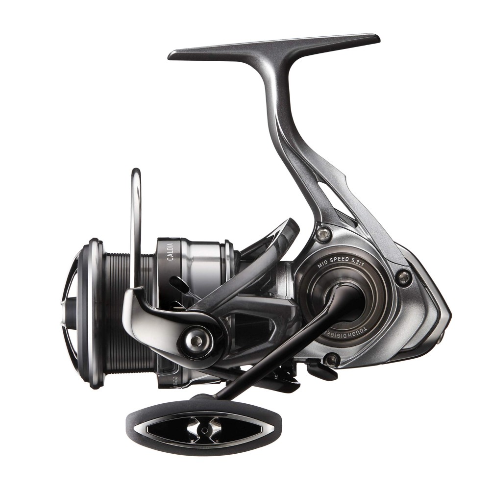 CALDIA 25 LT 4000-CXH DAIWA