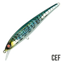 EJA 115 16GR SEASPIN