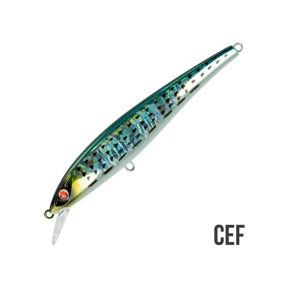 EJA 115 16GR SEASPIN