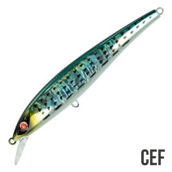 EJA 115 16GR SEASPIN