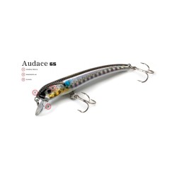 AUDACE 65 SUSPENDING 3.5GR MOLIX