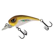 FC 45 FINESE CRANK MOLIX