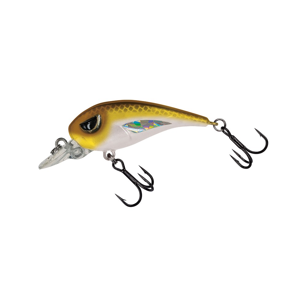 FC 45 FINESE CRANK MOLIX