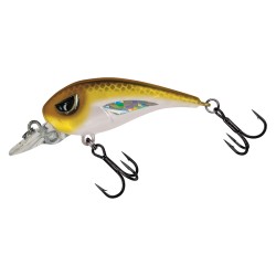 FC 45 FINESE CRANK MOLIX