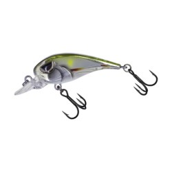 FC 45 FINESE CRANK MOLIX