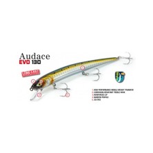 AUDACE EVO 130 15GR MOLIX