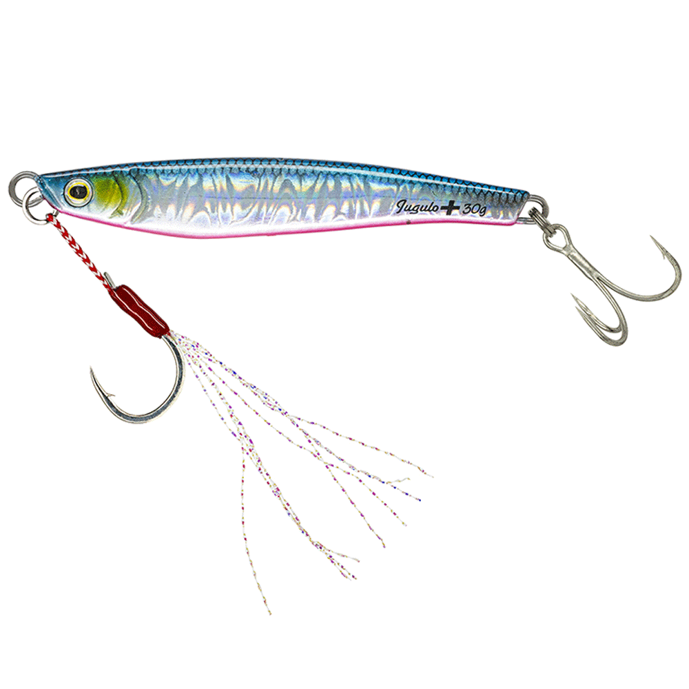 JUGULO CASTING  PLUS+ 20GR MOLIX