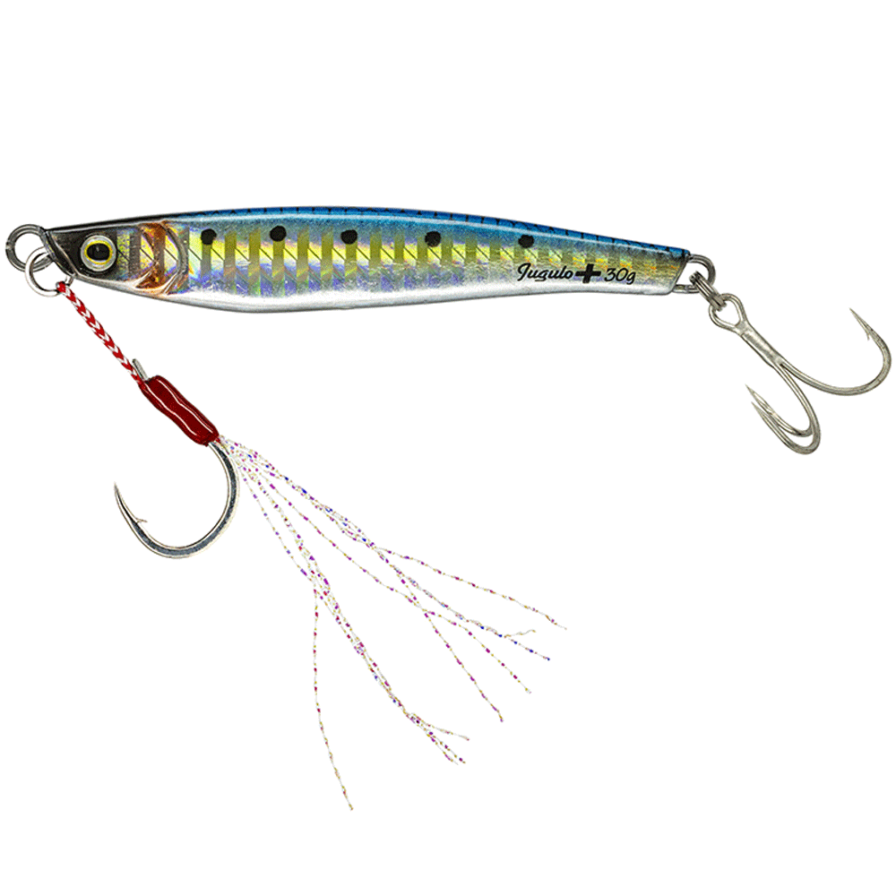 JUGULO CASTING  PLUS+40GR MOLIX