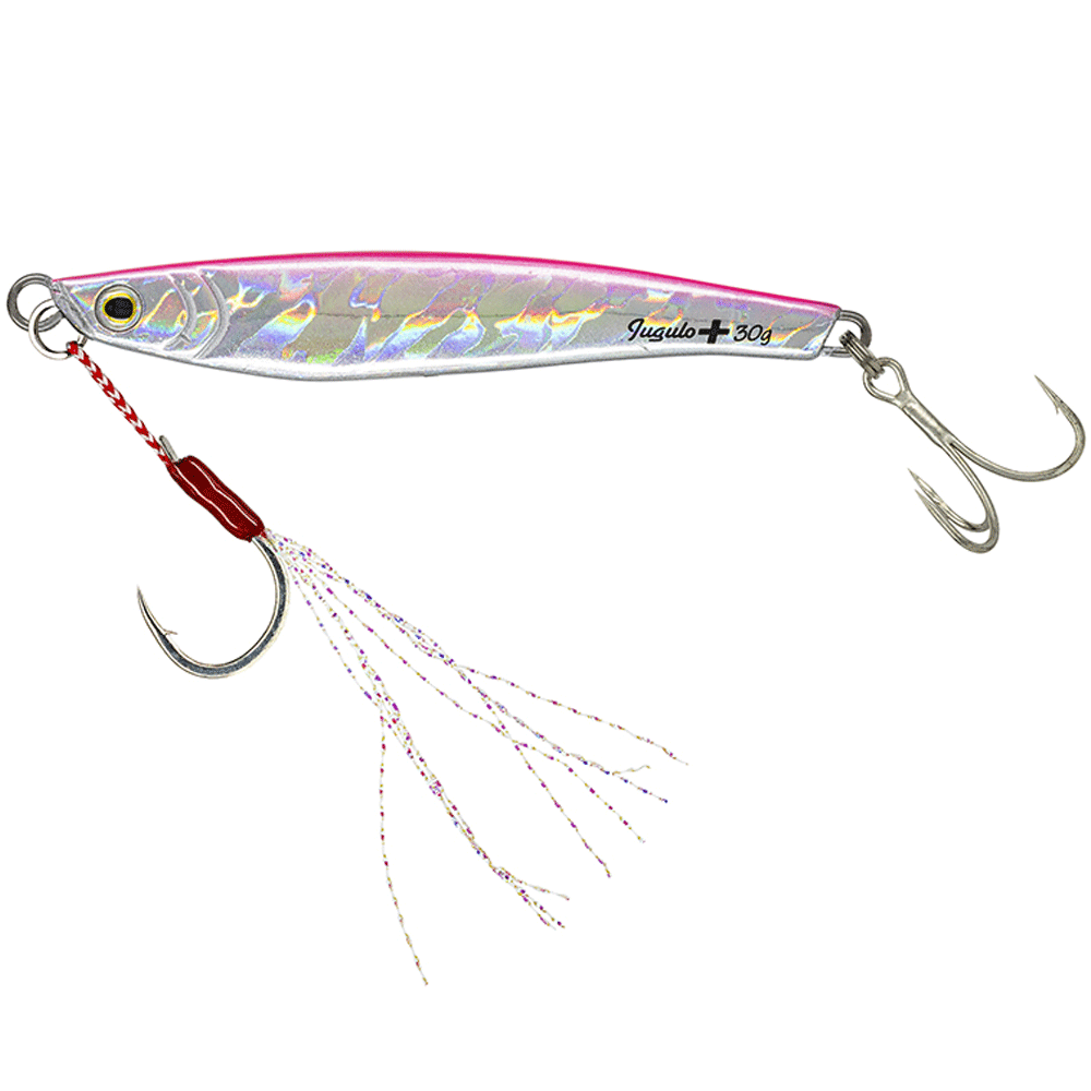 JUGULO CASTING  PLUS+80GR MOLIX