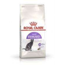 ROYAL CANIN GATTO...