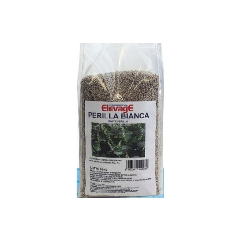 PERILLA BIANCA 1KG ELEVAGE
