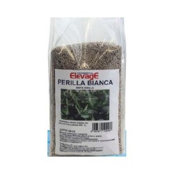PERILLA BIANCA 1KG ELEVAGE