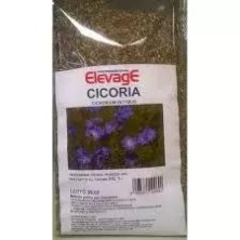 CICORIA 1KG ELEVAGE