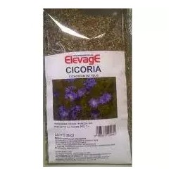CICORIA 1KG ELEVAGE