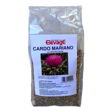 CARDO MARIANO 1KG ELEVAGE