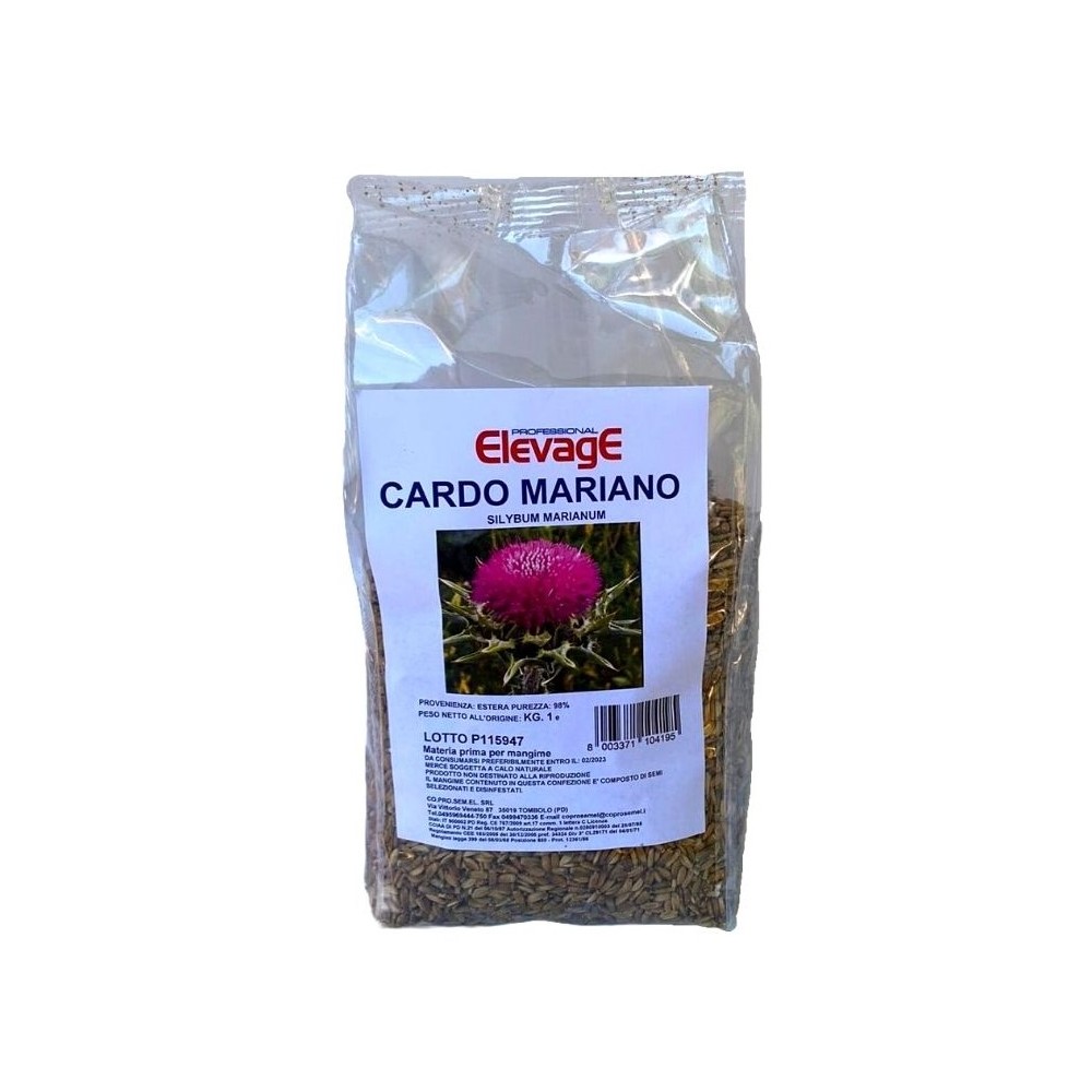 CARDO MARIANO 1KG ELEVAGE
