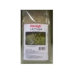 LATTUGA 1KG ELEVAGE