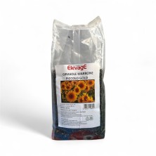 GIRASOLE MARRONE PICCOLO...