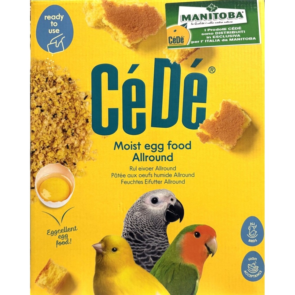 CE'DE' PASTONCINO ALLROUND GIALLO MORBIDO MANITOBA