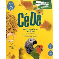 CE'DE' PASTONCINO ALLROUND GIALLO MORBIDO MANITOBA