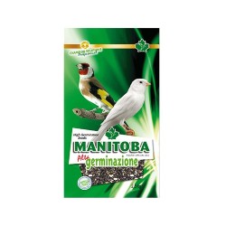 MISCELA ALTA GERMINAZIONE 2.5KG MANITOBA