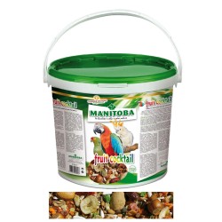 FRUIT COCKTAIL 4KG MANITOBA