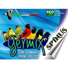 MISCELA SPINUS 4KG GERMIX