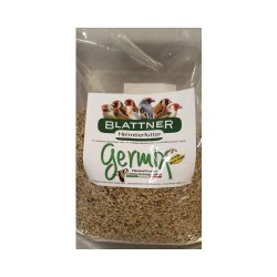 MISCELA PANCE CHIARE 5KG GERMIX