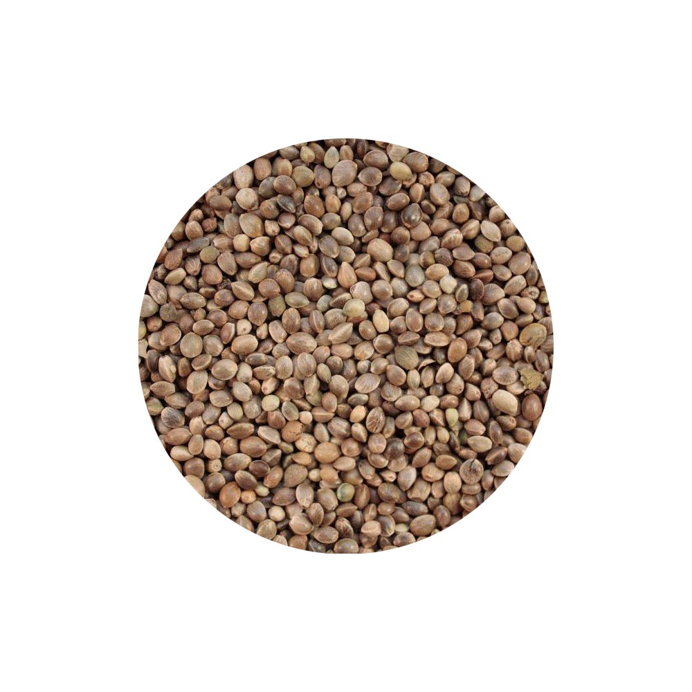 SEMI SINGOLI CANAPUCCIA MICRONIZZATA 2.5KG ORNITALIA