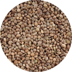 SEMI SINGOLI CANAPUCCIA MICRONIZZATA 2.5KG ORNITALIA