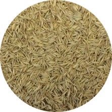 ERBA MAZZOLINA 2.5KG ORNITALIA