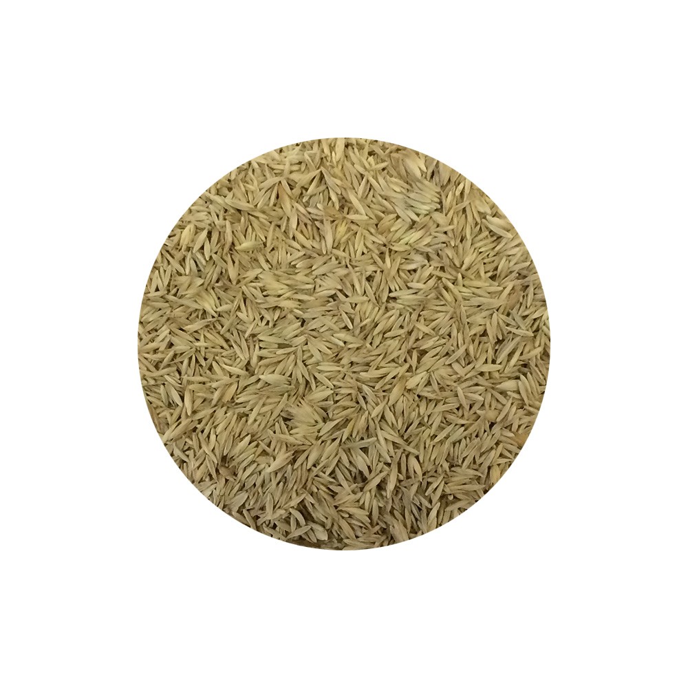 ERBA MAZZOLINA 2.5KG ORNITALIA