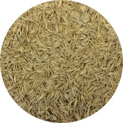 ERBA MAZZOLINA 2.5KG ORNITALIA