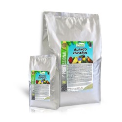 PASTONCINO BLANCO ESPANOL PINETA